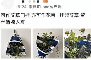 开云彩票app下载安装手机版截图3